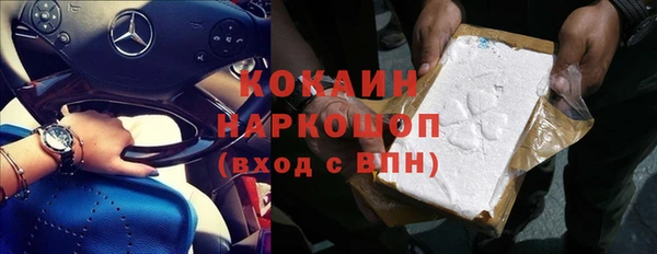 гашик Нея