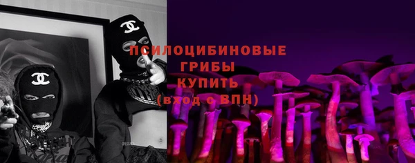 твердый Новодвинск