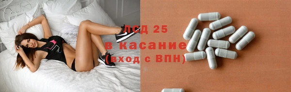 гашик Нея
