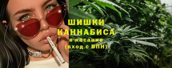 твердый Новодвинск
