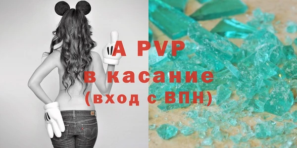 твердый Новодвинск