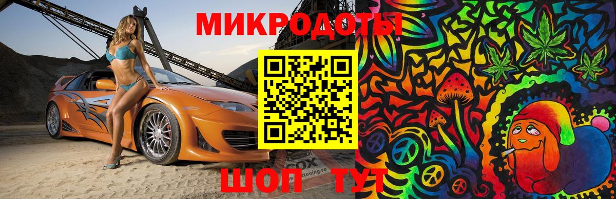 Псилоцибиновые грибы Cubensis Бийск