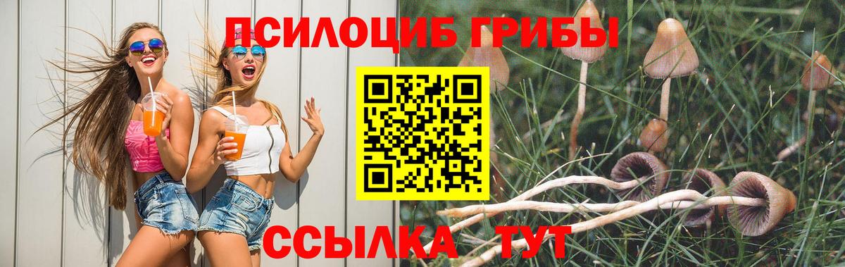 Галлюциногенные грибы мицелий Бийск