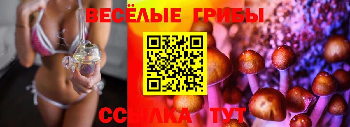 Псилоцибиновые грибы Magic Shrooms  Псилоцибиновые грибы Psilocybe  Вход с VPN  Бийск 